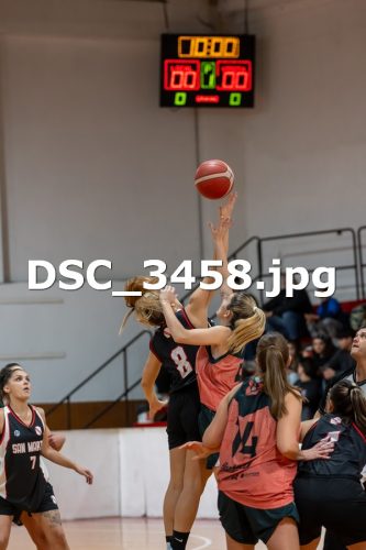 DSC 3458 (1)