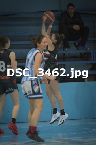 DSC 3462