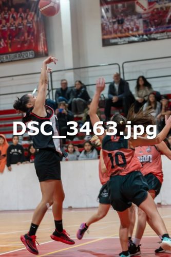 DSC 3463