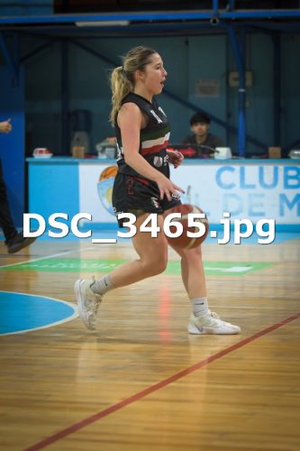 DSC 3465