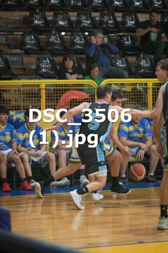 DSC 3506-1