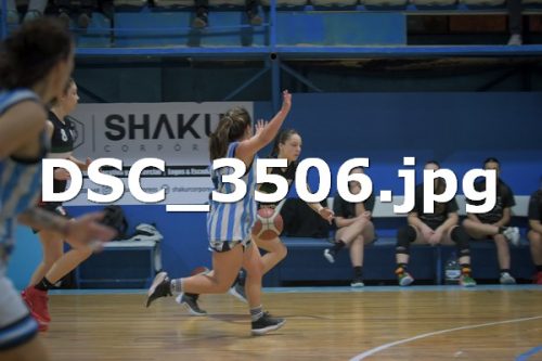 DSC 3506