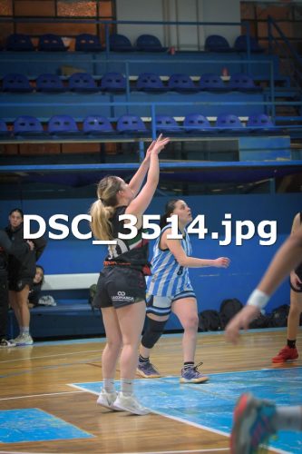 DSC 3514
