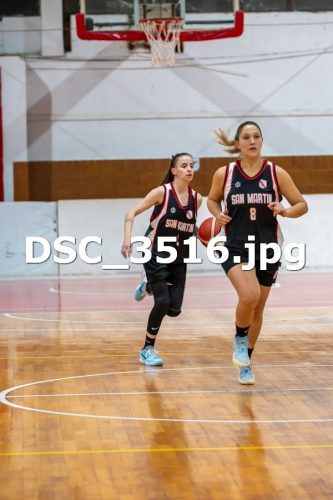 DSC 3516