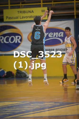 DSC 3523-1