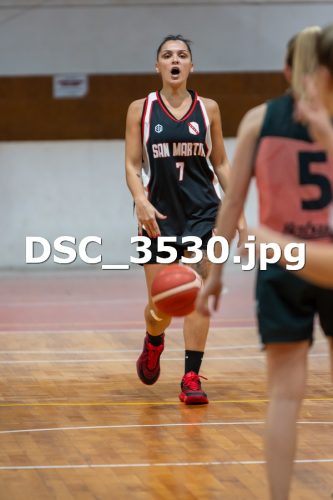 DSC 3530