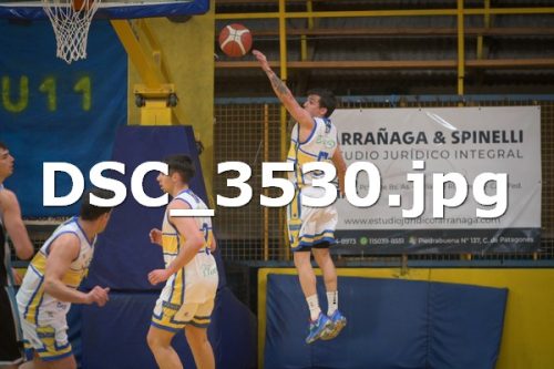 DSC 3530 (1)