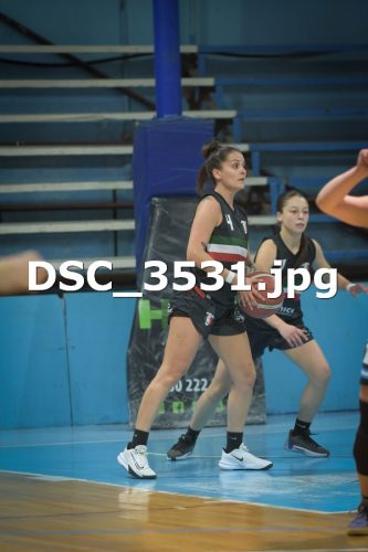 DSC 3531