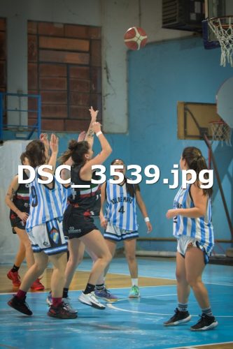 DSC 3539