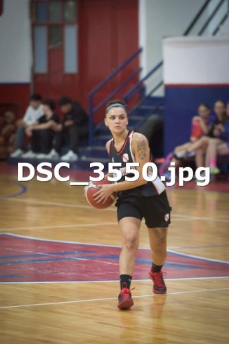 DSC 3550