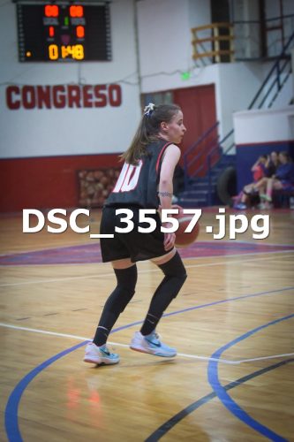 DSC 3557