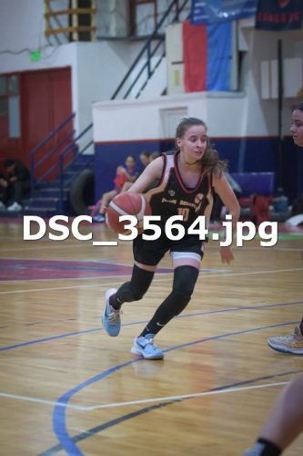 DSC 3564