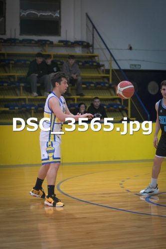 DSC 3565