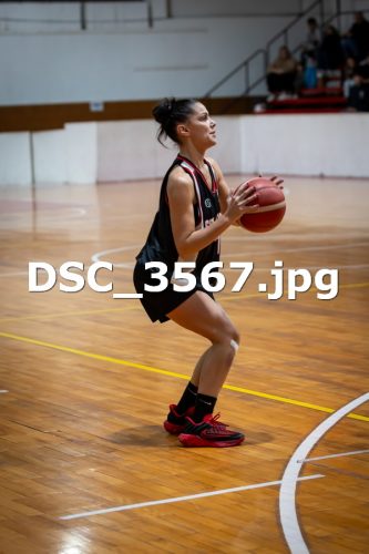 DSC 3567