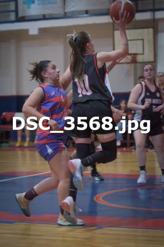 DSC 3568