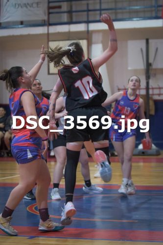 DSC 3569