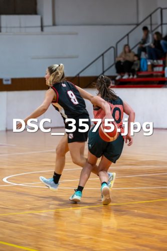 DSC 3575