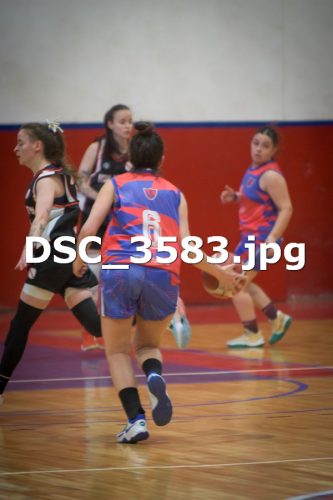 DSC 3583