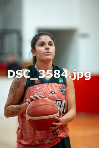 DSC 3584