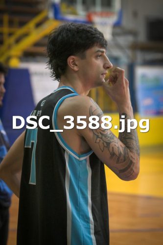 DSC 3588