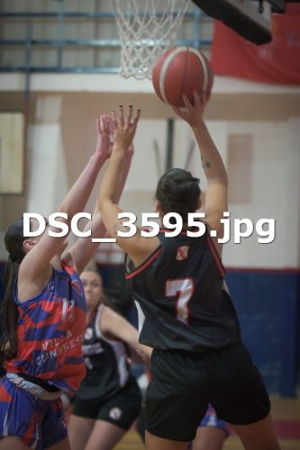 DSC 3595