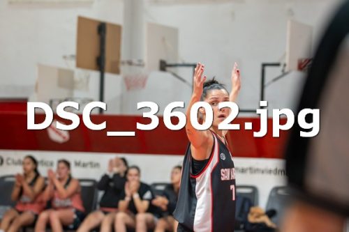 DSC 3602