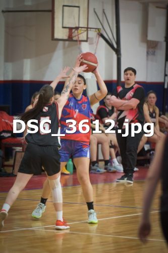DSC 3612