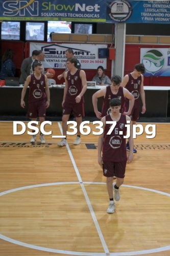 DSC 3637
