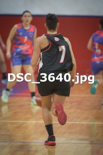 DSC 3640