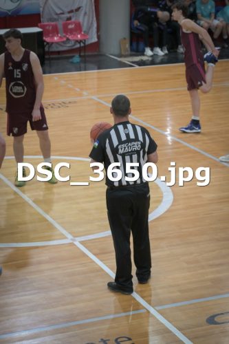 DSC 3650
