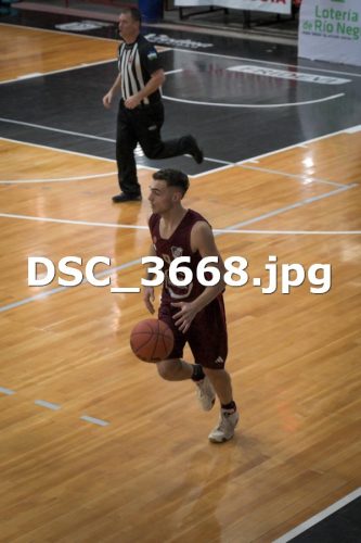 DSC 3668