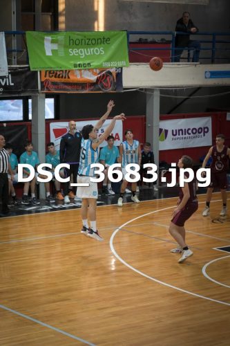 DSC 3683