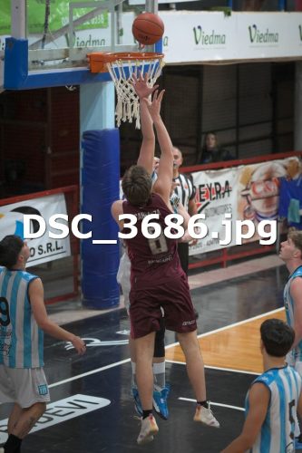 DSC 3686