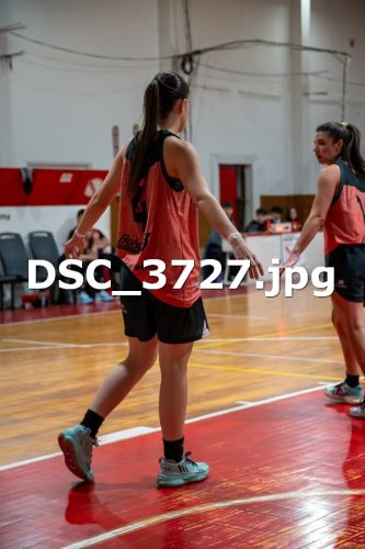 DSC 3727