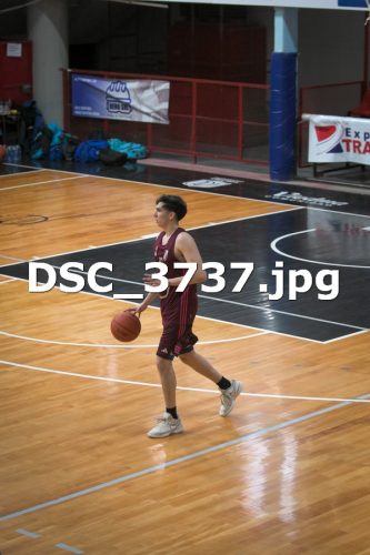 DSC 3737
