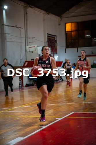 DSC 3753