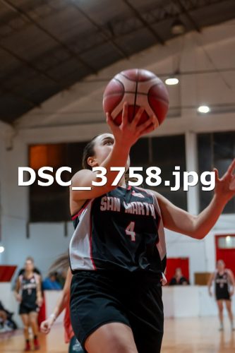 DSC 3758