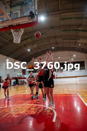 DSC 3760