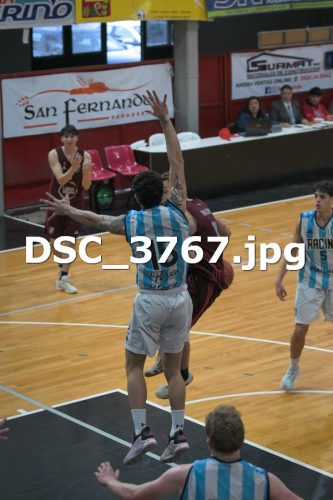 DSC 3767