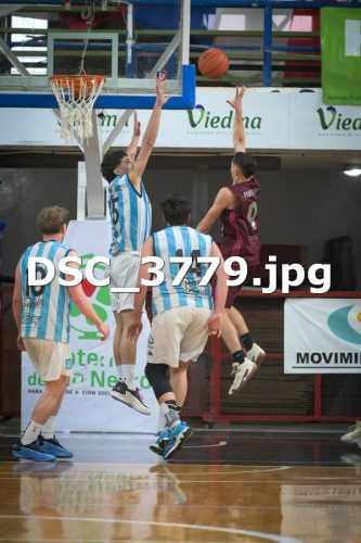 DSC 3779 (1)