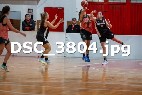 DSC 3804
