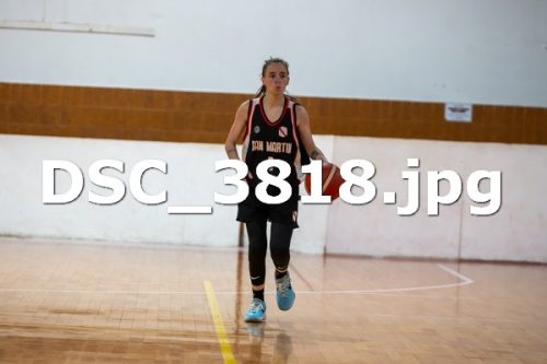 DSC 3818