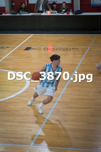 DSC 3870