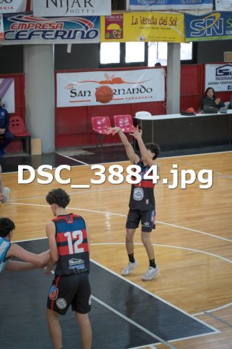 DSC 3884