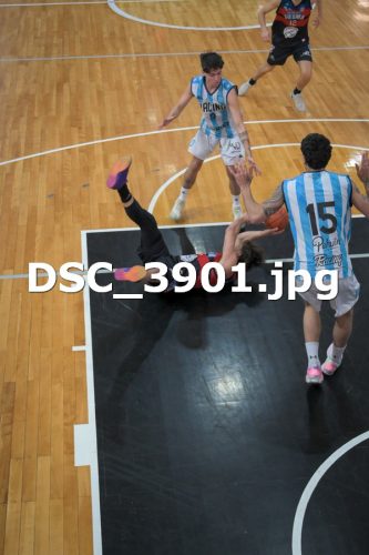 DSC 3901