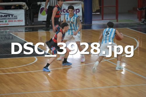 DSC 3928 (1)