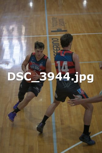 DSC 3944 (1)
