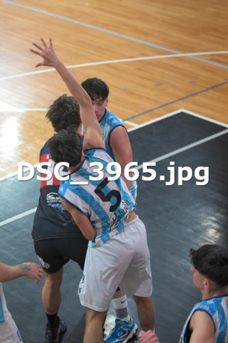 DSC 3965