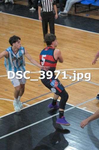 DSC 3971