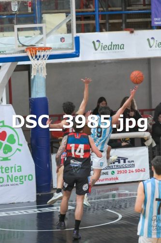 DSC 3985